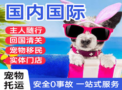 六盘水月照空运公司国际宠物托运 【国